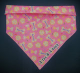 ITS MY BARK DAY (PINK)- Dog Bandanas