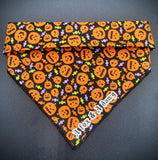 Jack O' dana- Dog Bandana
