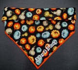 HI PUMPKIN!- Dog Bandanas