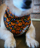 Jack O' dana- Dog Bandana