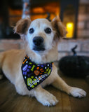 Trick or treat paws- Dog Bandana
