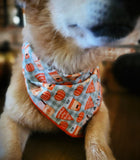 PUMPKIN SPICE LIFE- Dog Bandanas