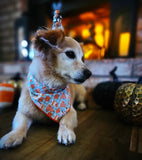 PUMPKIN SPICE LIFE- Dog Bandanas