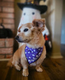 Oh my ghost!- Dog Bandana