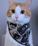 The witching hour- Dog Bandana