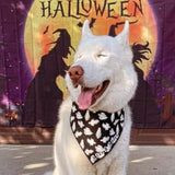 Glow in the dark ghosts- Dog Bandana