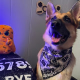 The witching hour- Dog Bandana