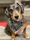 Spider tales - Dog Bandana