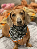 Spider tales - Dog Bandana