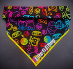 Graffiti kitty- Cat Bandana