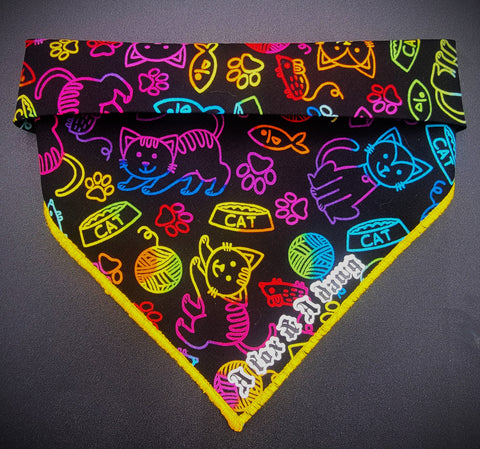 Graffiti kitty- Cat Bandana