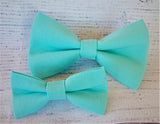 TURQUOISE- Pet hair bow