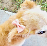 PEACH- Pet hair bow