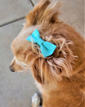 TURQUOISE- Pet hair bow