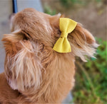 MUSTARD YELLOW- Pet hair bow