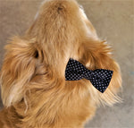 BLACK WITH POLKA DOTS- Pet hair bow