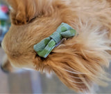 CAMO GREEN- Pet hair bow