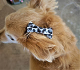 BLACK AND WHITE CHEETAH- Pet hair bow