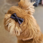 BLACK SPARKLES- Pet hair bow