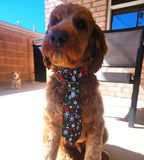 SNOWFLAKES ON BLACK- Pet necktie