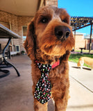 ALL I WANT FOR CHRISTMAS IS BONES- Pet necktie