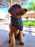 ARE YOU OF AFRAID OF CHRISTMAS LIGHTS?-Pet bandana-LAST CHANCE-LIMITED SIZES
