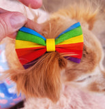 LOVE IS LOVE - Large Pet hair bow