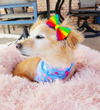 LOVE IS LOVE - Large Pet hair bow