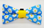 BLUE MARGARITA - Pet Bow tie