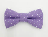 LILAC AND DOTS - Pet hair bow