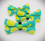 LIMES- Bow tie