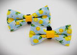 MINI LEMONS - Bow Tie