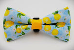 MINI LEMONS - Bow Tie