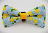 MINI LEMONS - Bow Tie