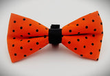 ORANGE AND BLK POLKA DOTS- Bow Tie