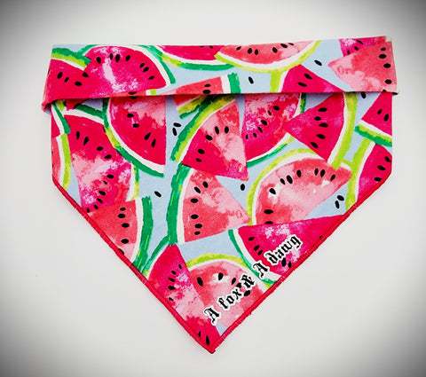 PINK WATERMELON  -Dog Bandana