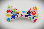 RAINBOW BONES - Pet hair bow