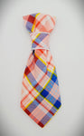 DELICATE- Pet Necktie