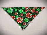 CANDY CANE LANE- Dog Bandana