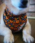 Jack O' dana- Dog Bandana