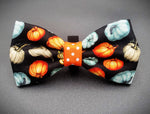 Pumpkin season- Bow tie