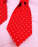 RED AND WHITE POLKA DOTS- Pet Necktie