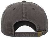 Dog Dad Washed Vintage Ballcap- Grey