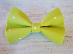 APPLE GREEN WITH POLKA DOTS- Pet hair bow