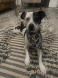 The witching hour- Dog Bandana