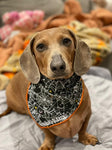 Spider tales - Dog Bandana