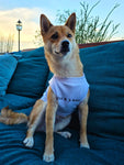 IT'S ME,HI. IM THE PAWBLEM, IT'S ME. - Dog T-shirt