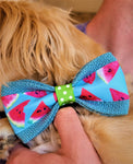 WATERMELON SLICES BOW-Bow tie