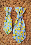 WOOF WOOF LEMONS- Pet Necktie