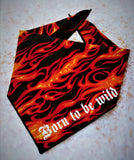 BORN TO BE WILD Dog Bandana